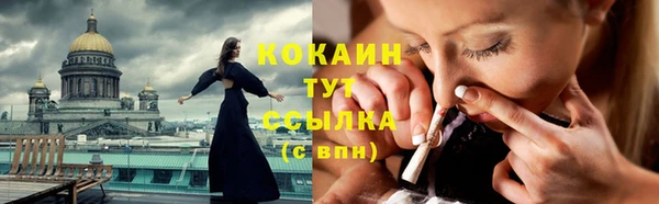 шишки Абаза