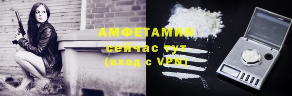 шишки Абаза
