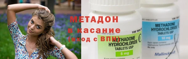 шишки Абаза