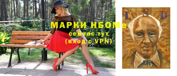 шишки Абаза