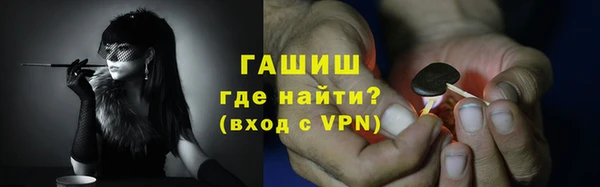 шишки Абаза
