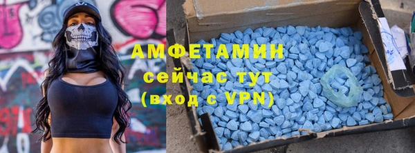 шишки Абаза