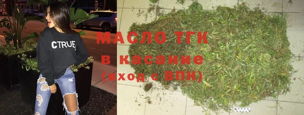 шишки Абаза