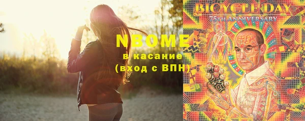 шишки Абаза