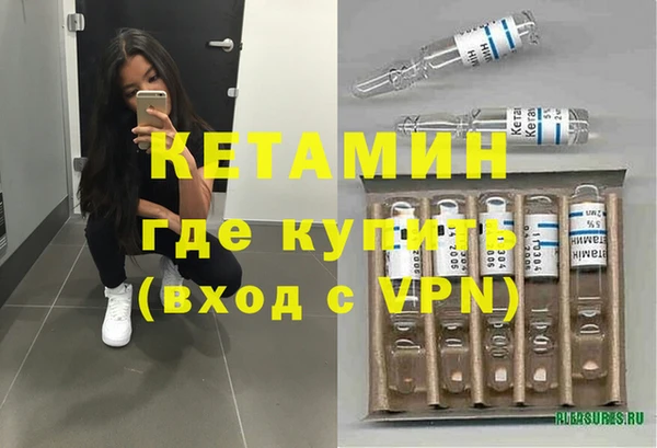 шишки Абаза
