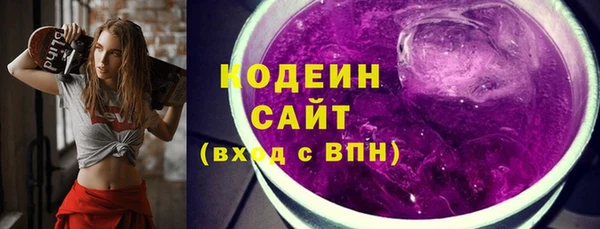 шишки Абаза