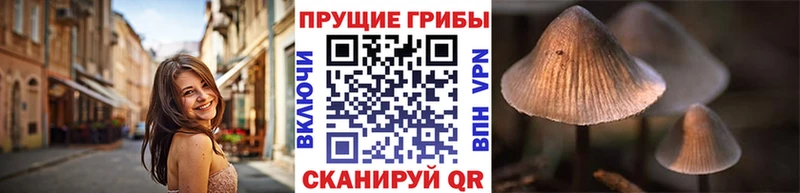 Галлюциногенные грибы Psilocybe  Циолковский 